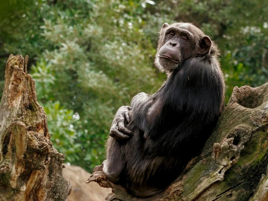 3 Day Queen Elizabeth National Park Safari Uganda
