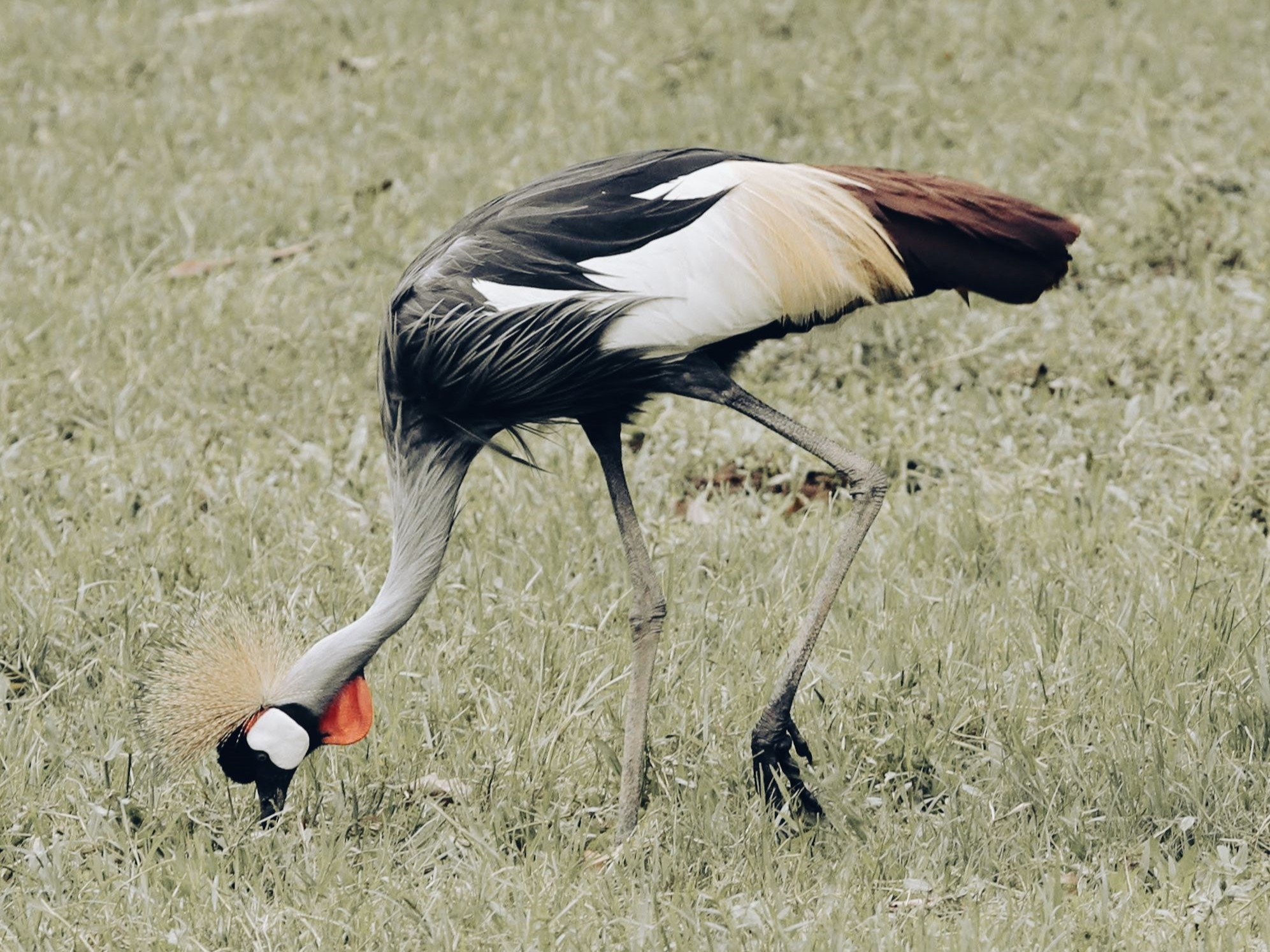 7-Day Safari & Beach