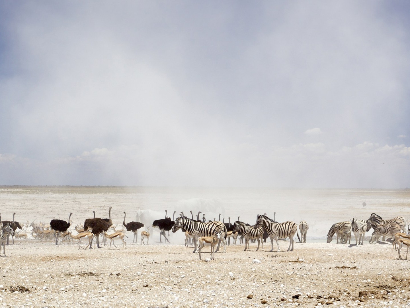 7-Day Desert & Wildlife