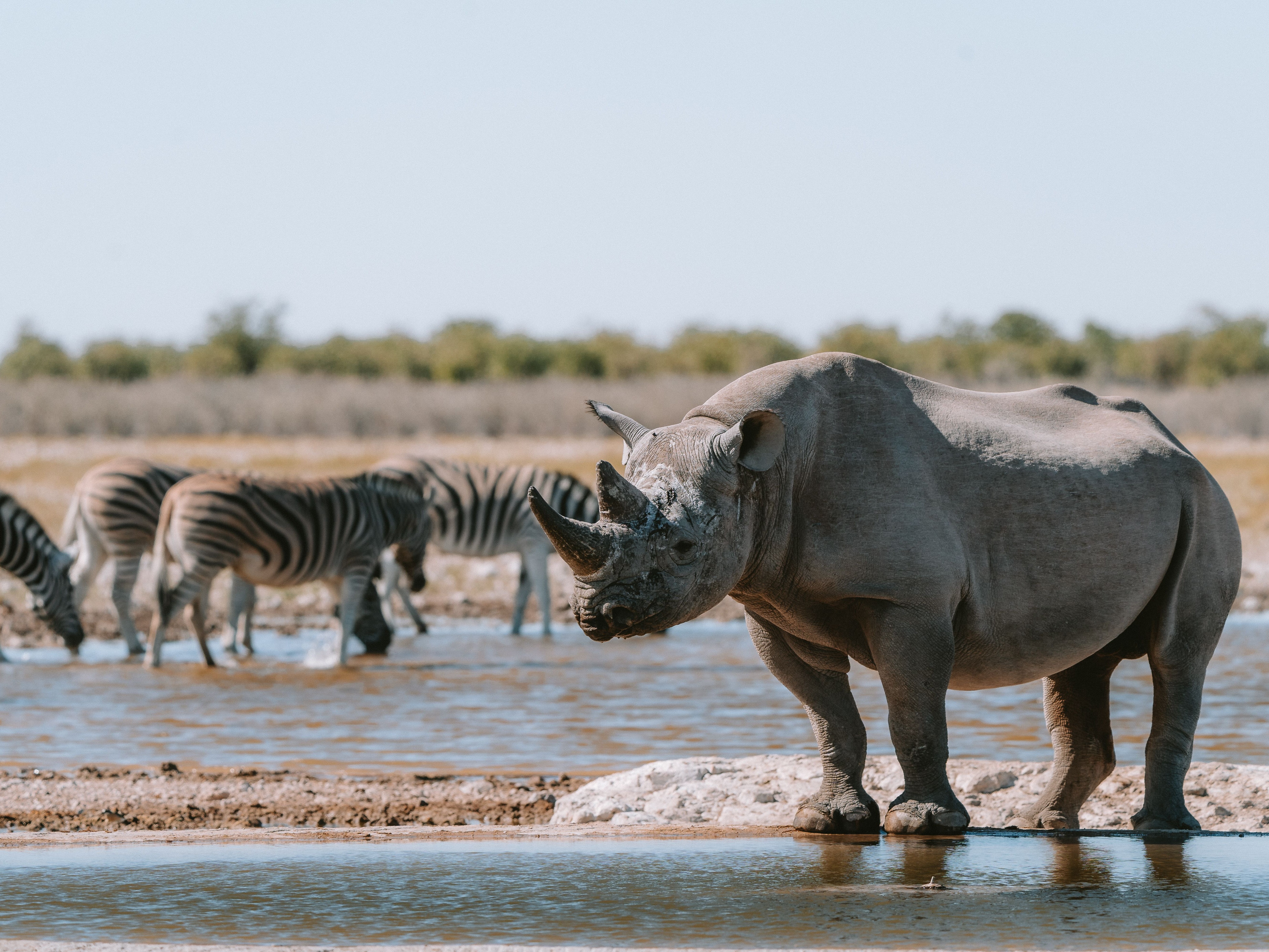 Namibia - 7-Day Desert & Wildlife