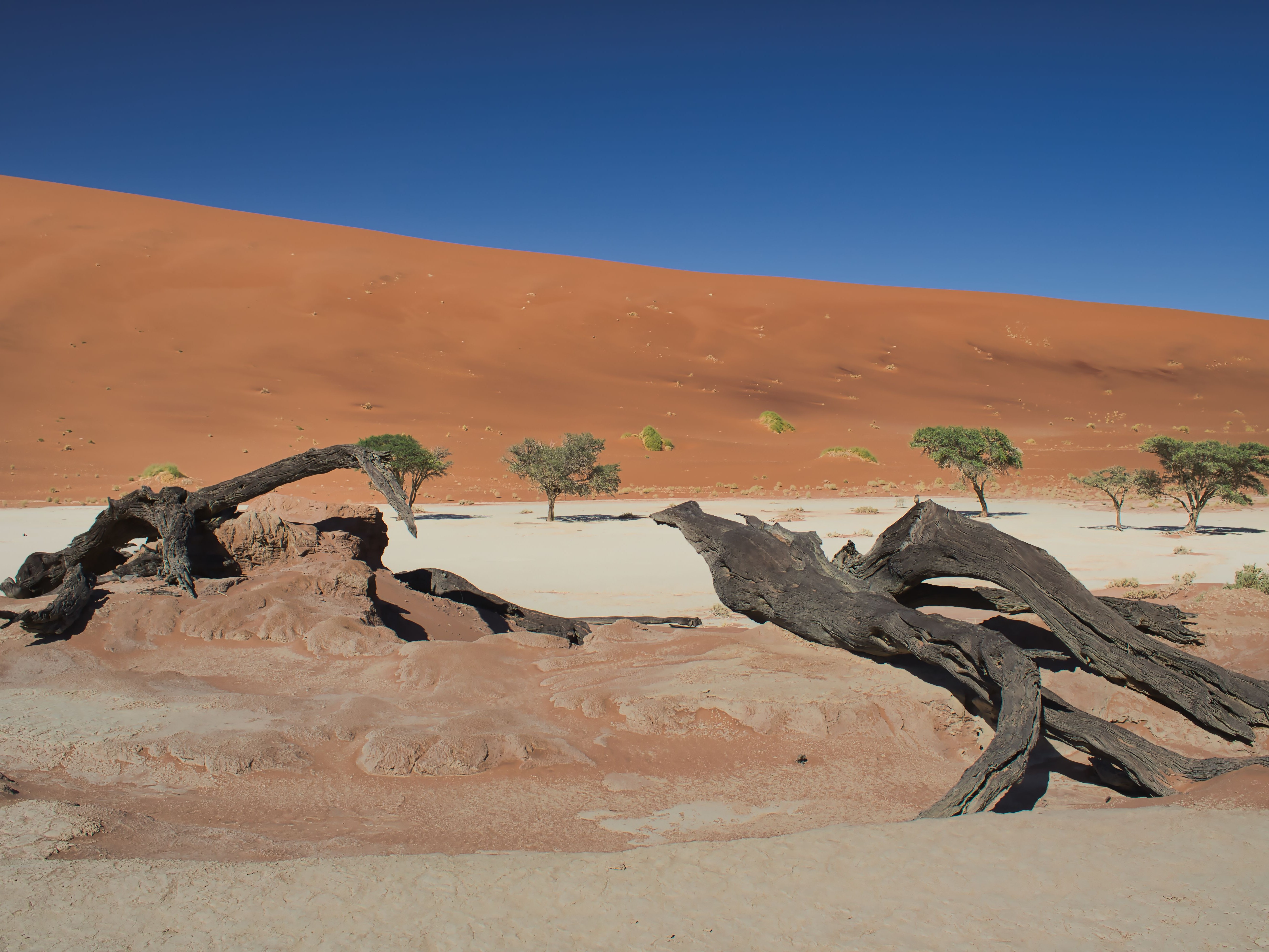 Namibia - 7-Day Desert & Wildlife