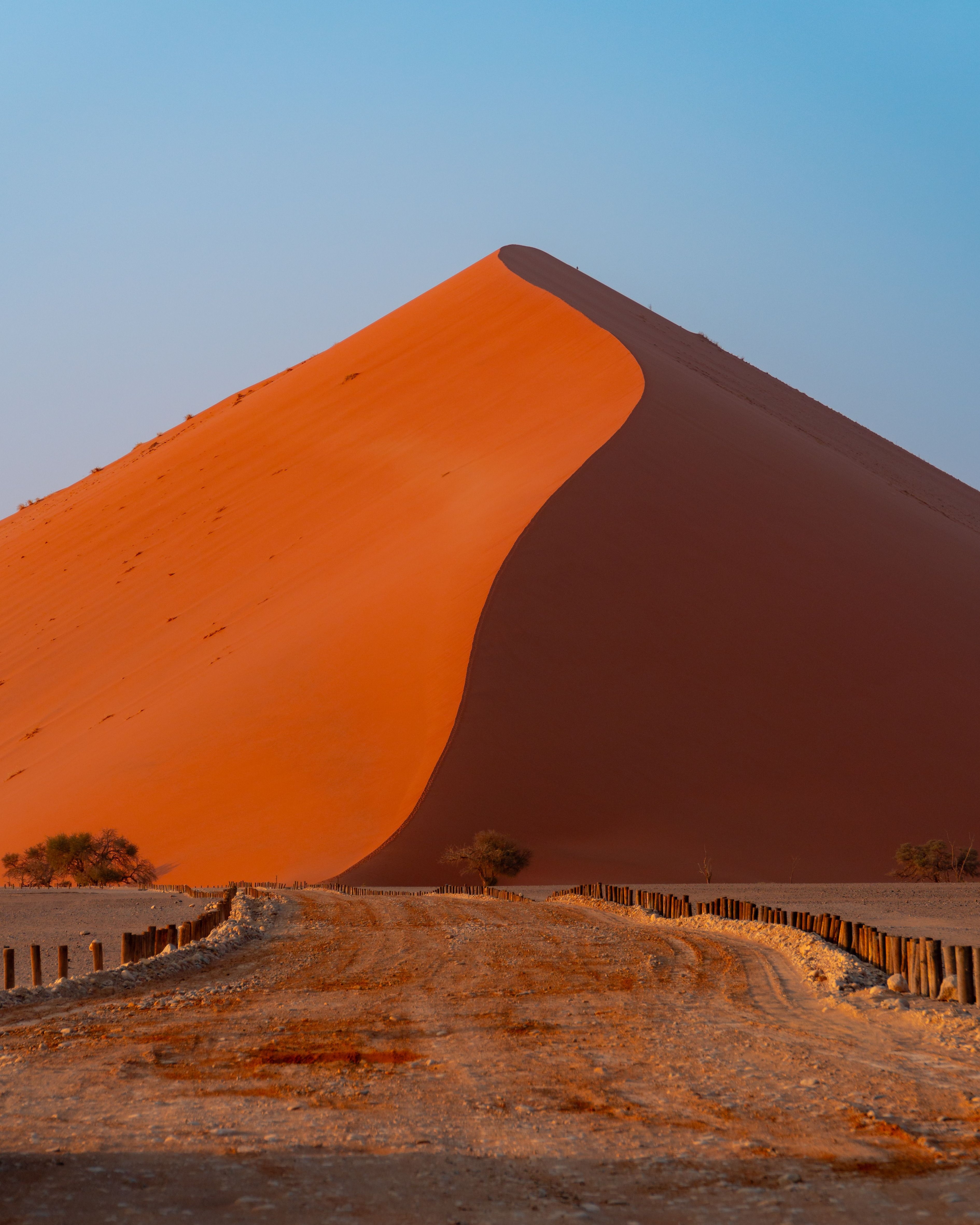 7-Day Desert & Wildlife