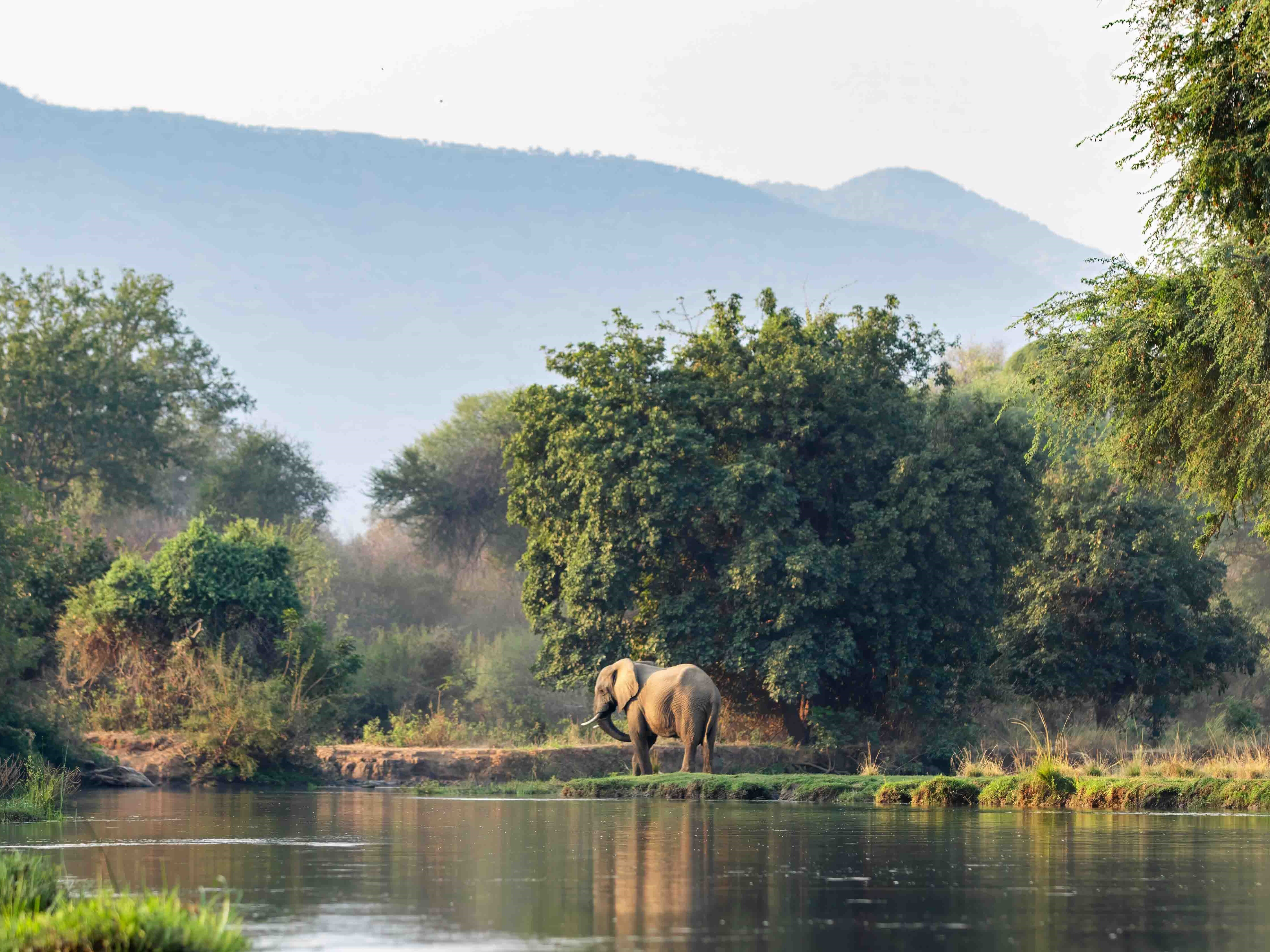 Zambia - 5-Day Walking & Canoe